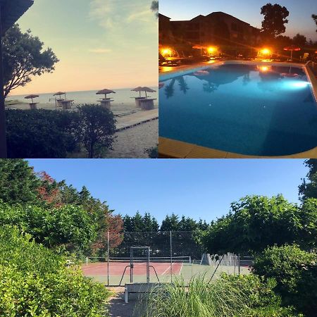 Joli T2 Les Pieds Dans L'Eau , Piscine Tennis.... San-Nicolao Ngoại thất bức ảnh